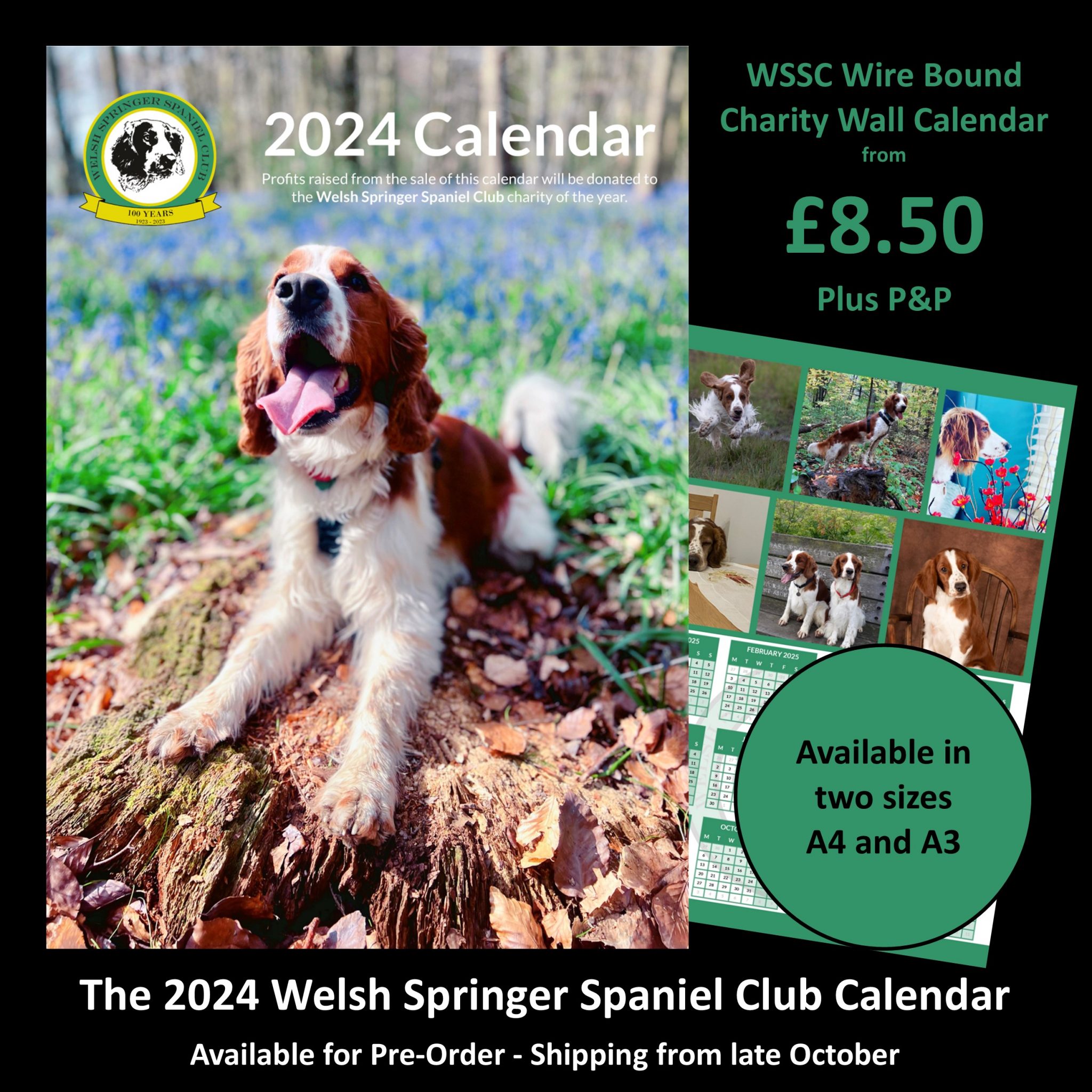 Calendar The Welsh Springer Spaniel Club