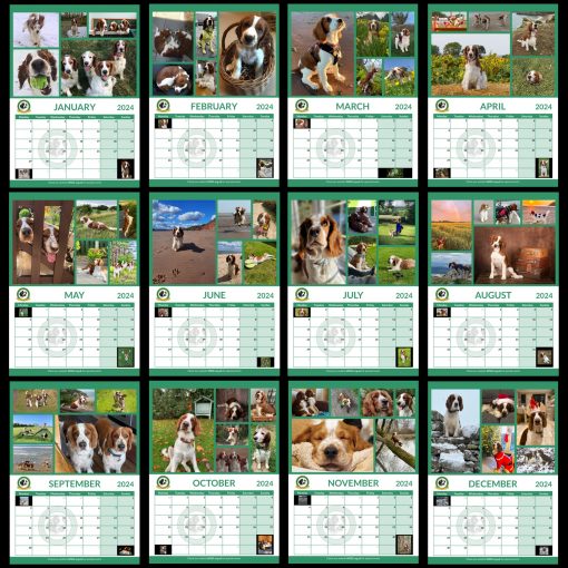 Welsh Springer Spaniel Club Charity Calendar A4 Size The Welsh